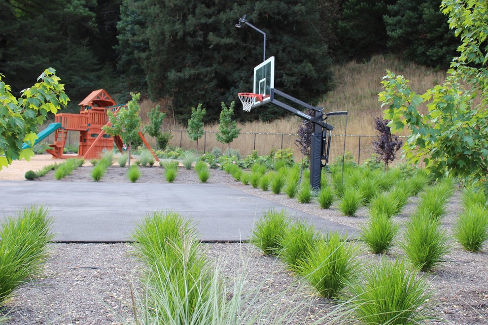 Nicasio Valley Road Mediterranean Landscape San Francisco by Imprints Landscape