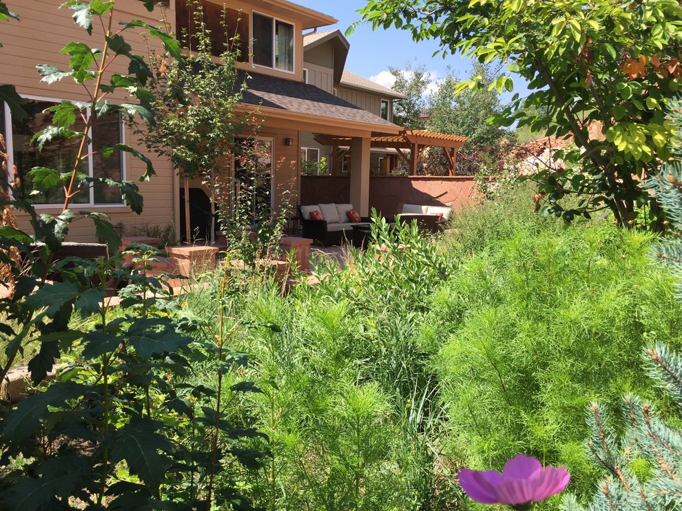 Идея дизайна: большой солнечный засухоустойчивый сад на заднем дворе в стиле фьюжн с подпорной стенкой, хорошей освещенностью и покрытием из каменной брусчатки