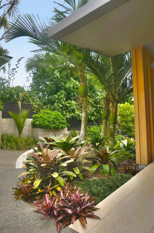 Ispirazione per un piccolo giardino tropicale esposto in pieno sole davanti casa con un ingresso o sentiero