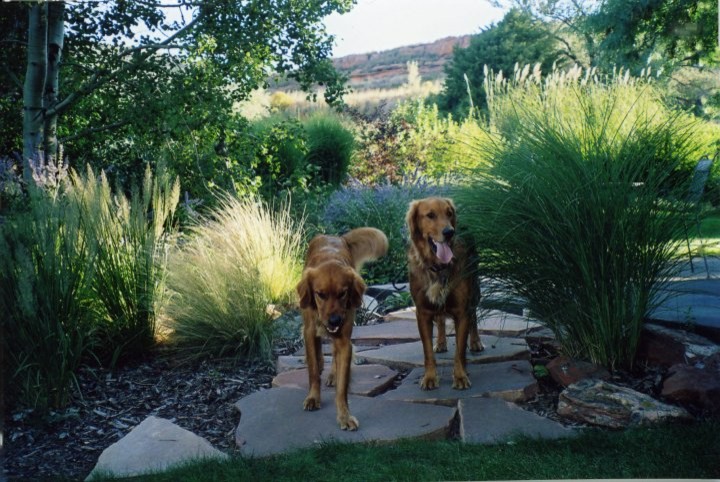 Inspiration for a huge rustic drought-tolerant backyard stone landscaping in Denver for summer.