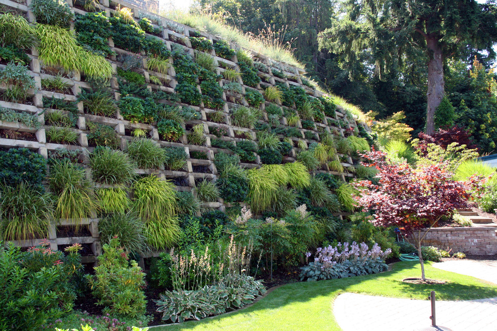 シアトルにあるコンテンポラリースタイルのおしゃれな裏庭 (壁面緑化) の写真