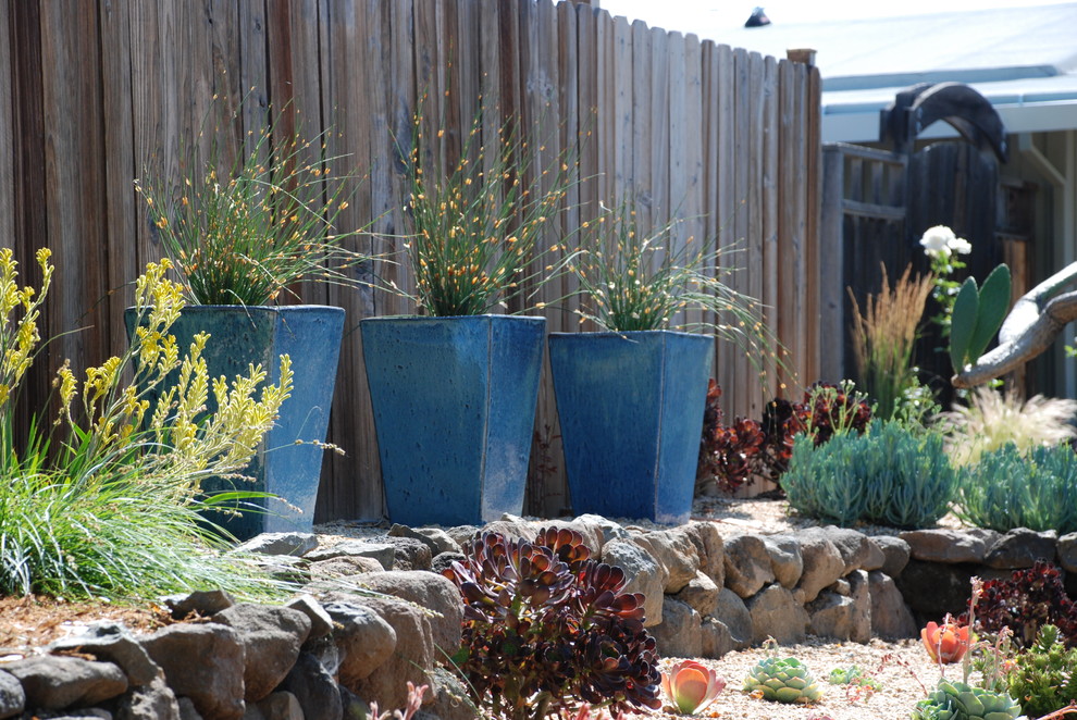 Photo of a small contemporary front full sun garden for spring in San Francisco with gravel.