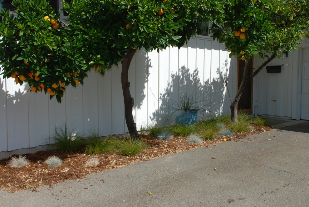 Design ideas for a small contemporary full sun front yard gravel landscaping in San Francisco for spring.