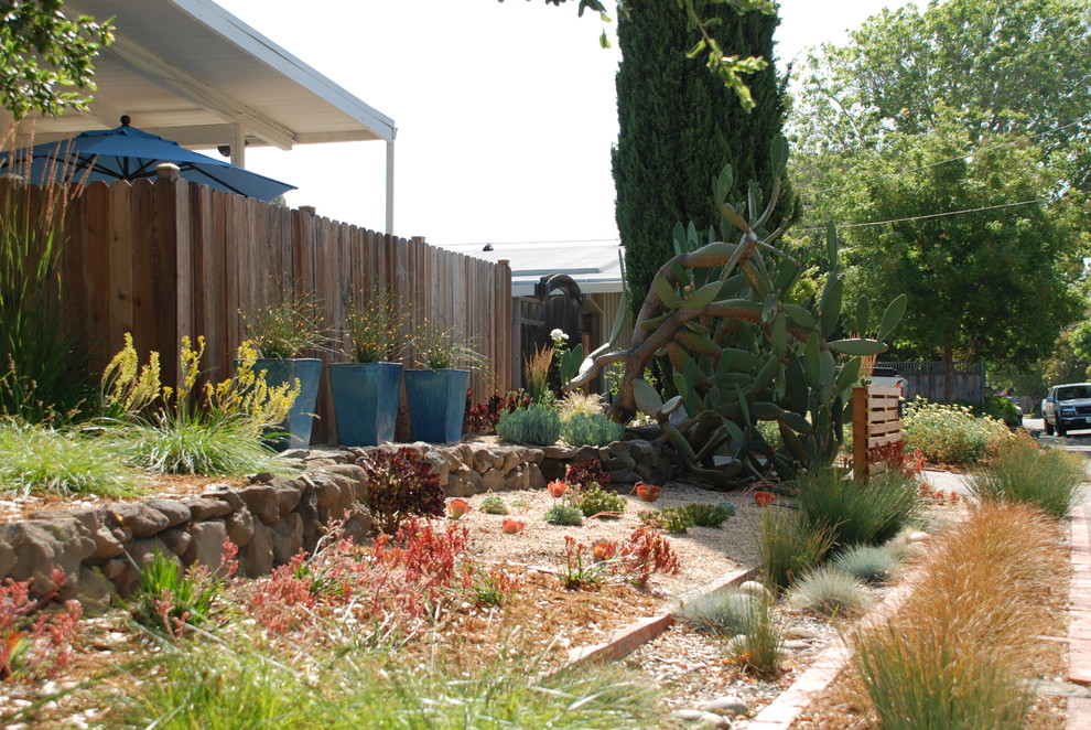 Design ideas for a small contemporary front full sun garden for spring in San Francisco with gravel.