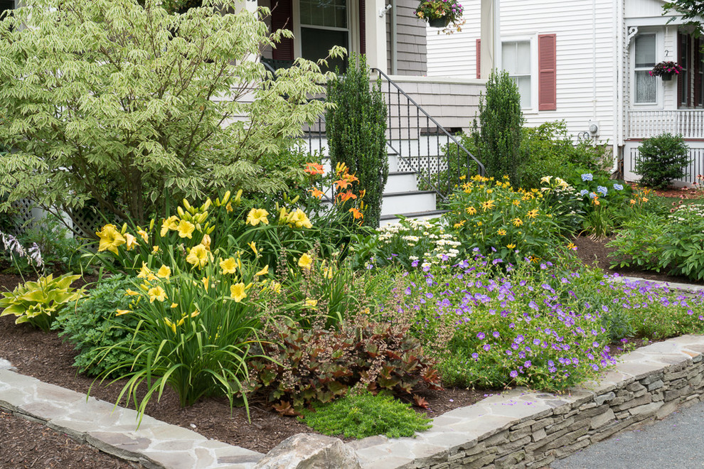 No Mow Front Yard : It is also drought resistant once established ...