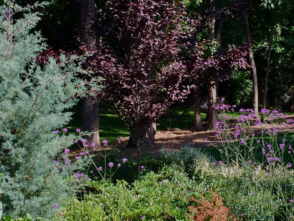 シャーロットにあるトランジショナルスタイルのおしゃれな庭の写真