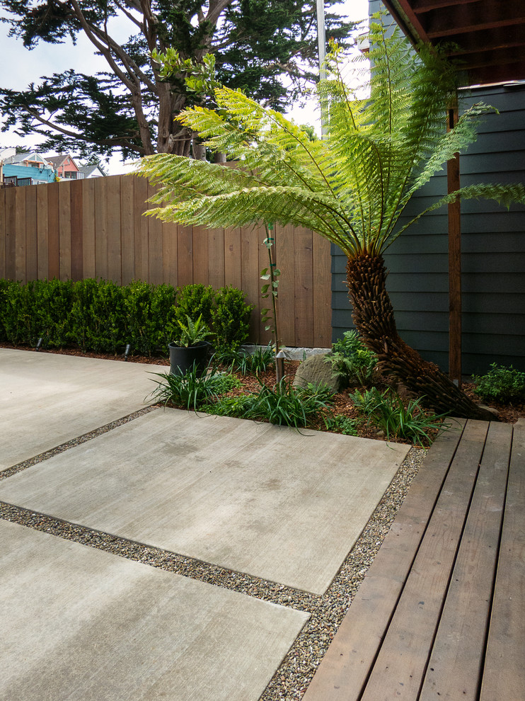 Photo of a mid-sized contemporary partial sun backyard landscaping in San Francisco with decking.