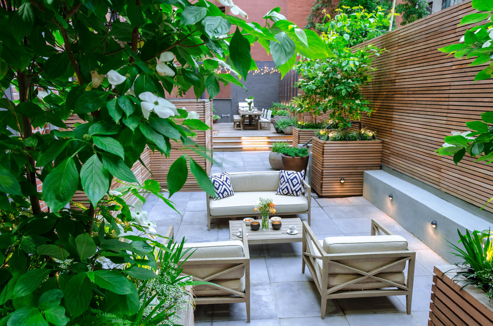 This is an example of a medium sized contemporary courtyard fully shaded garden in New York with concrete paving.