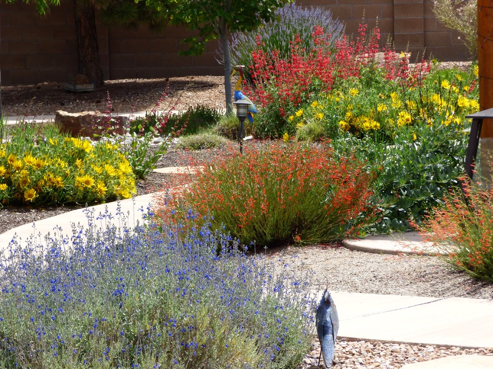This is an example of an eclectic drought-tolerant and full sun backyard mulch landscaping in Albuquerque for spring.
