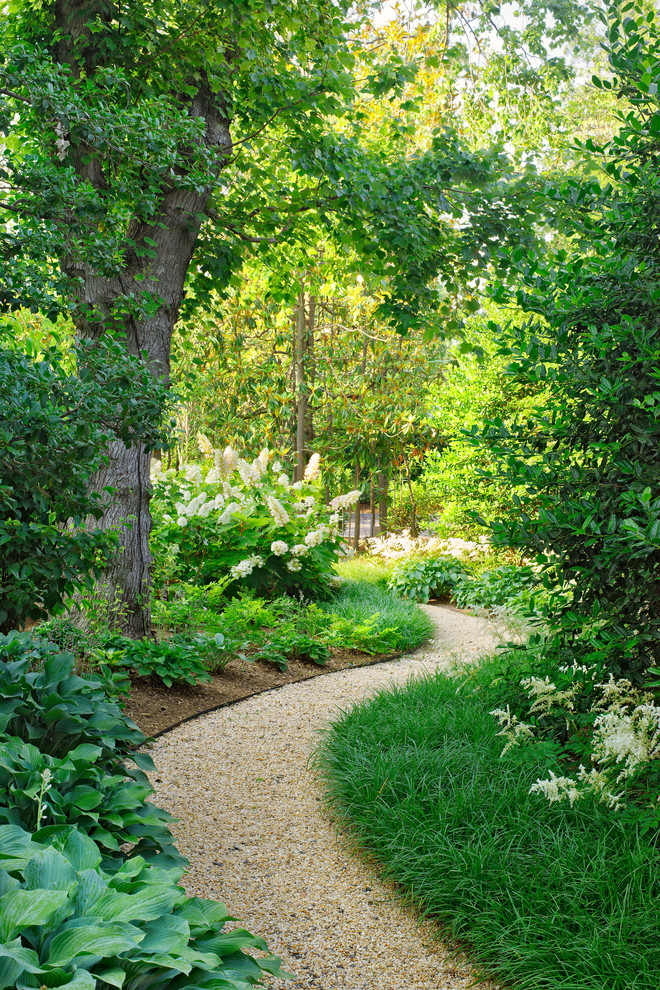 Design ideas for a traditional landscaping in DC Metro.
