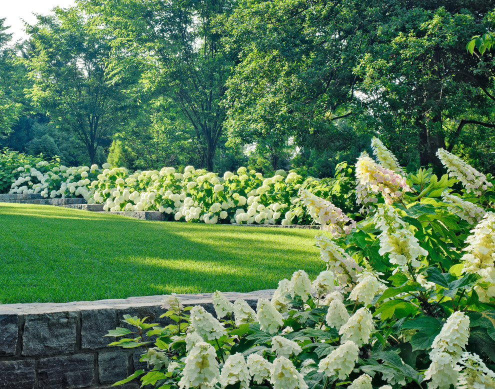 Идея дизайна: участок и сад на заднем дворе в классическом стиле