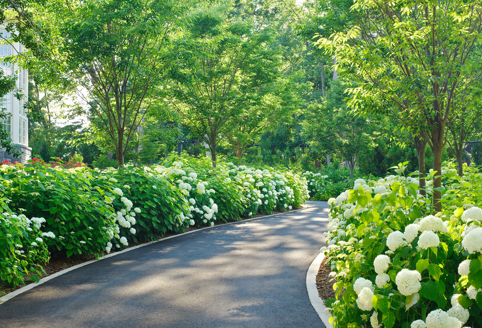 Photo of a traditional shade driveway in DC Metro.