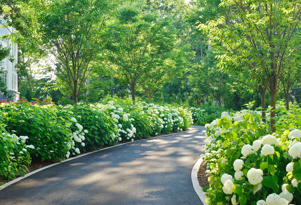 Schattiger Klassischer Garten mit Auffahrt in Washington, D.C.