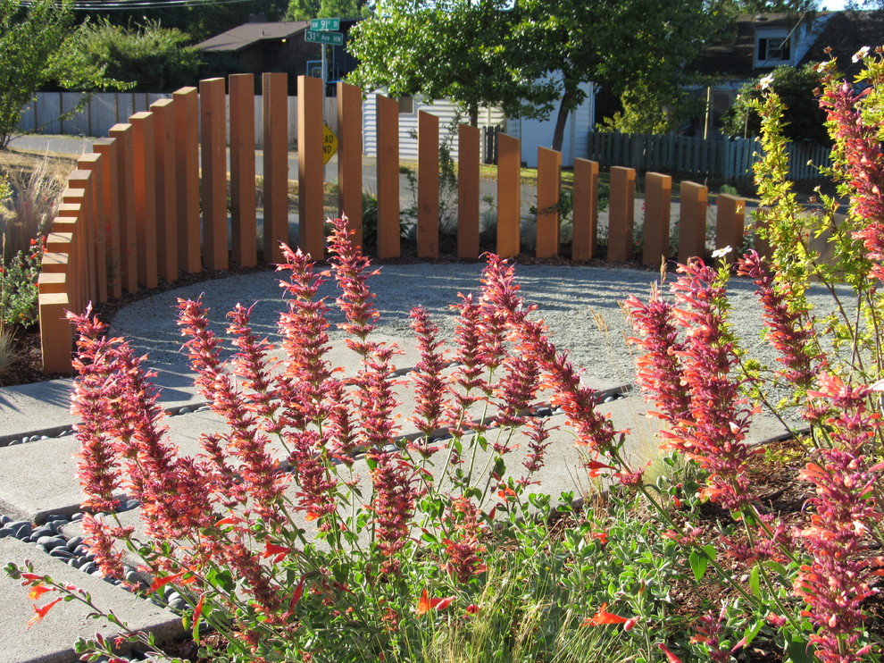 Стильный дизайн: солнечный засухоустойчивый сад среднего размера на переднем дворе в современном стиле с хорошей освещенностью и мощением тротуарной плиткой - последний тренд