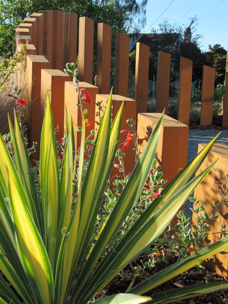 Foto di un giardino xeriscape minimal esposto in pieno sole davanti casa e di medie dimensioni con pavimentazioni in cemento
