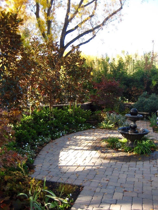 Photo of a mid-sized traditional shade backyard stone landscaping in Sacramento.