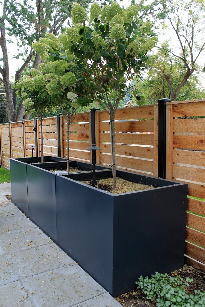 Réalisation d'un jardin arrière minimaliste de taille moyenne et l'été avec une exposition partiellement ombragée et des pavés en béton.