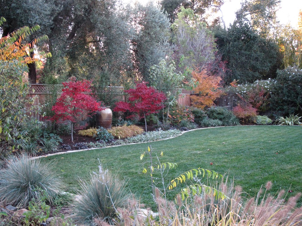 Mittelgroßer, Halbschattiger Mediterraner Garten im Herbst, hinter dem Haus in San Francisco