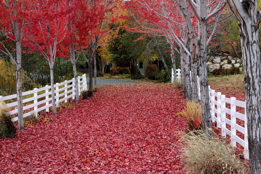 Großer, Halbschattiger Klassischer Garten im Herbst mit Auffahrt in Salt Lake City