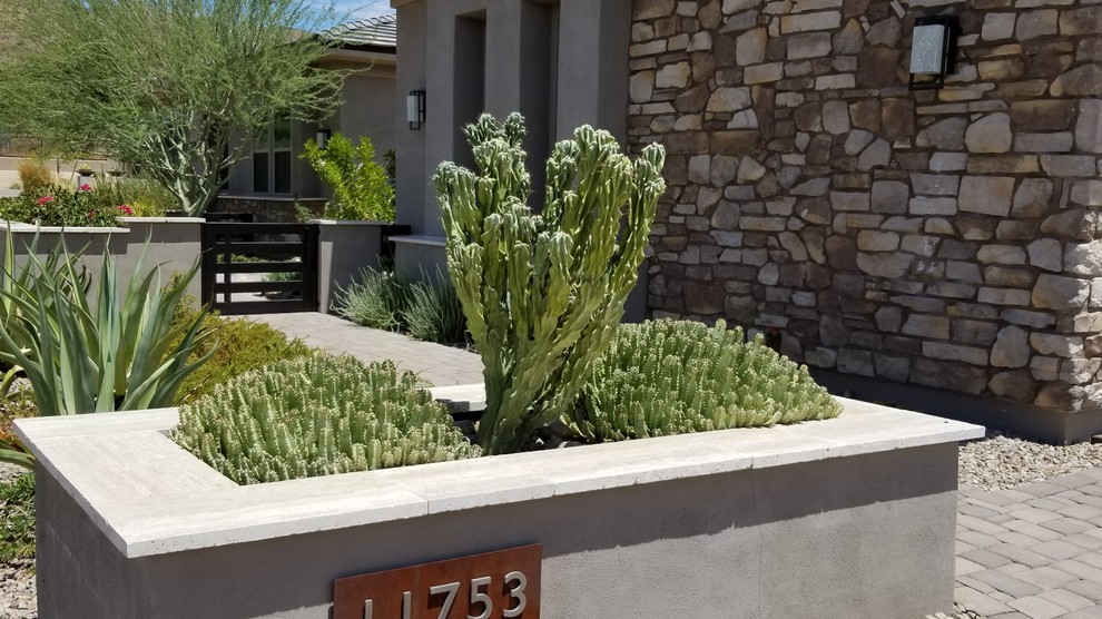 Mittelgroßer Moderner Vorgarten mit Wüstengarten, direkter Sonneneinstrahlung und Betonboden in Phoenix
