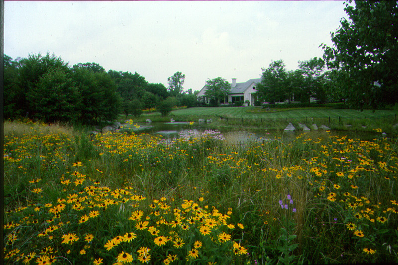 Inspiration for an expansive classic sloped partial sun garden for summer in Chicago with a pond.