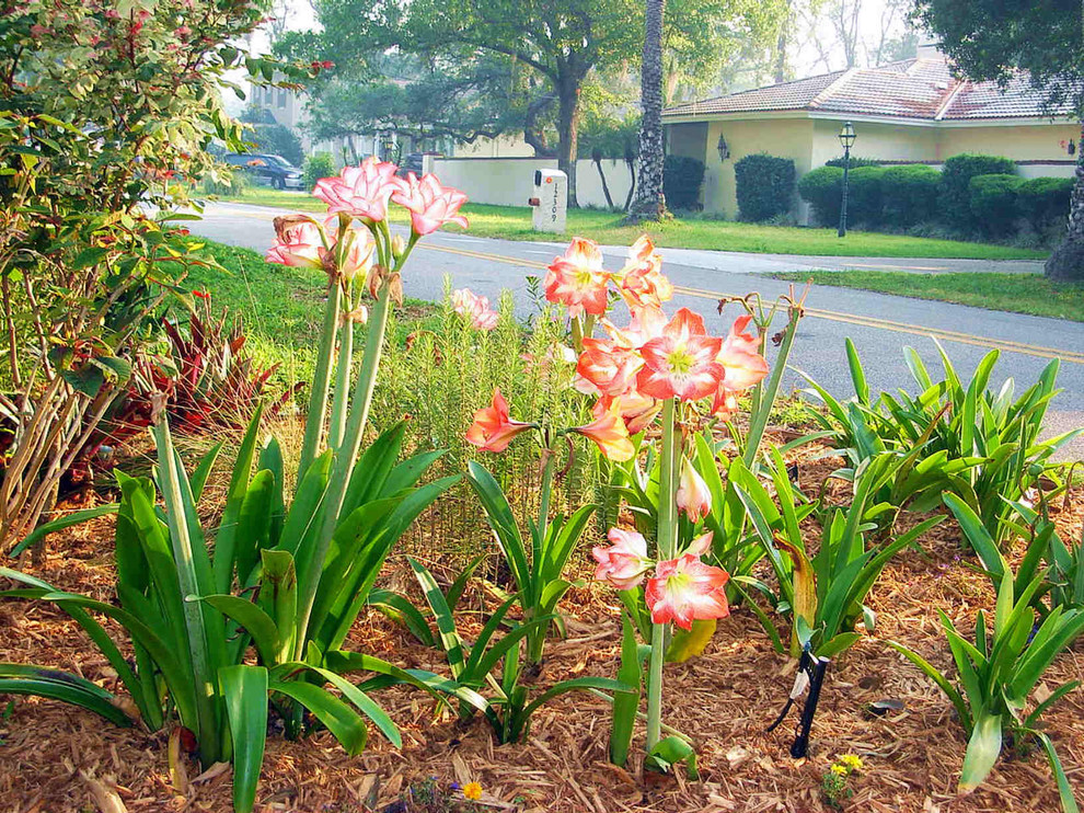 North Tampa Cottage Garden Eclectic Landscape Tampa by Tampa