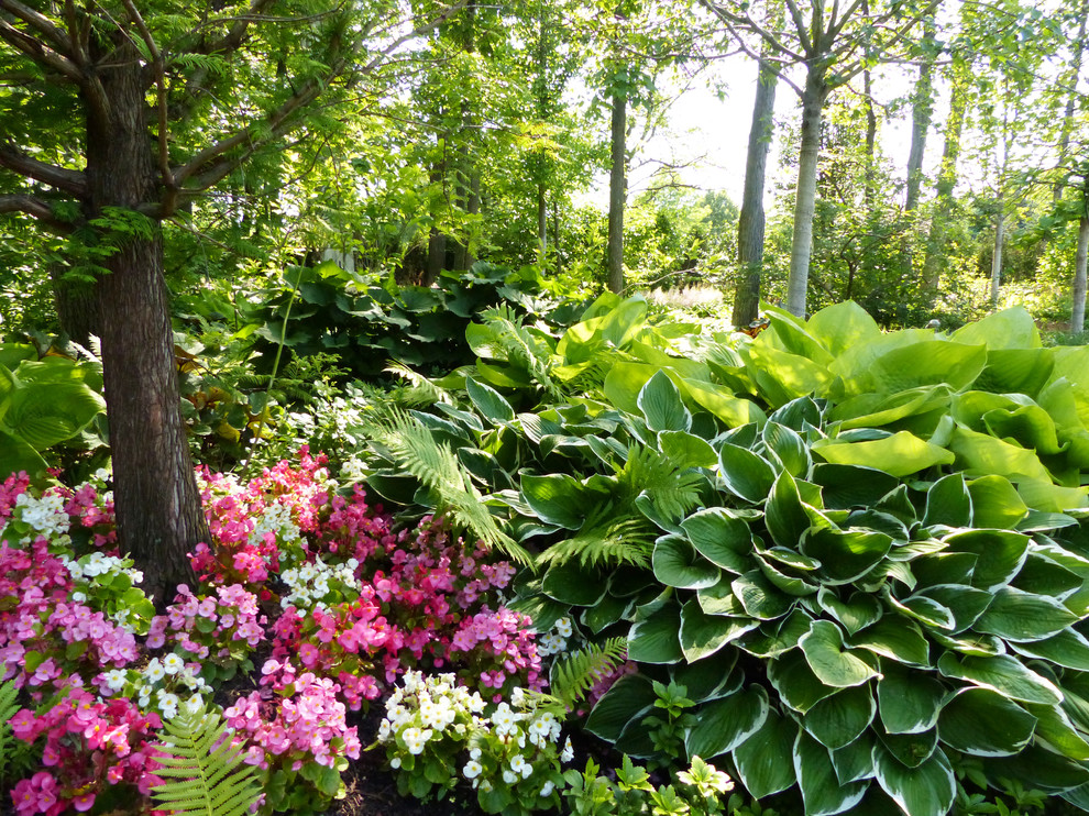 Пример оригинального дизайна: огромный тенистый, весенний участок и сад на заднем дворе в классическом стиле с садовой дорожкой или калиткой