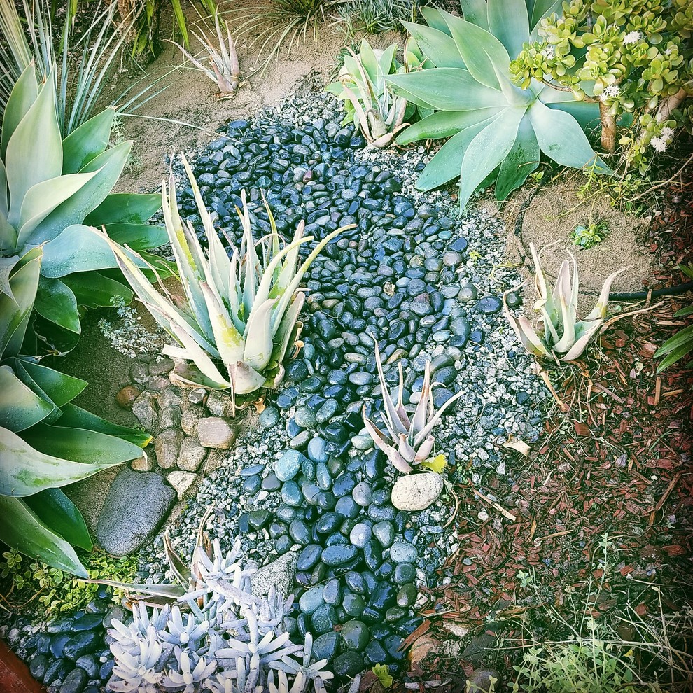 Esempio di un piccolo giardino xeriscape mediterraneo esposto in pieno sole con un pendio, una collina o una riva