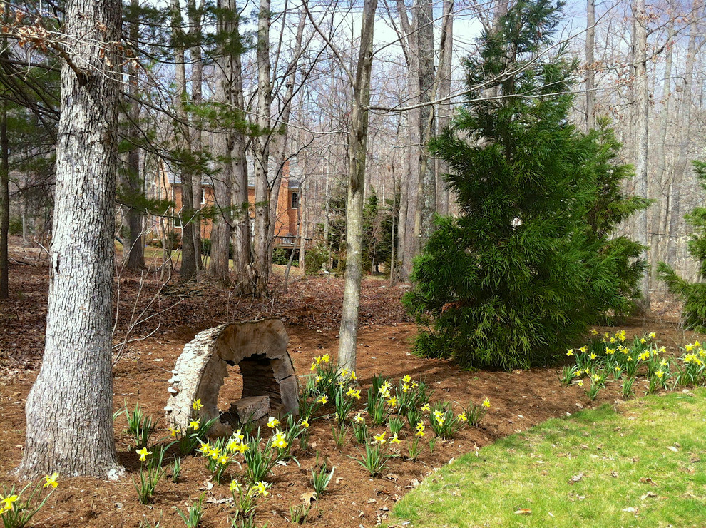 Immagine di un ampio giardino tradizionale esposto a mezz'ombra dietro casa in primavera