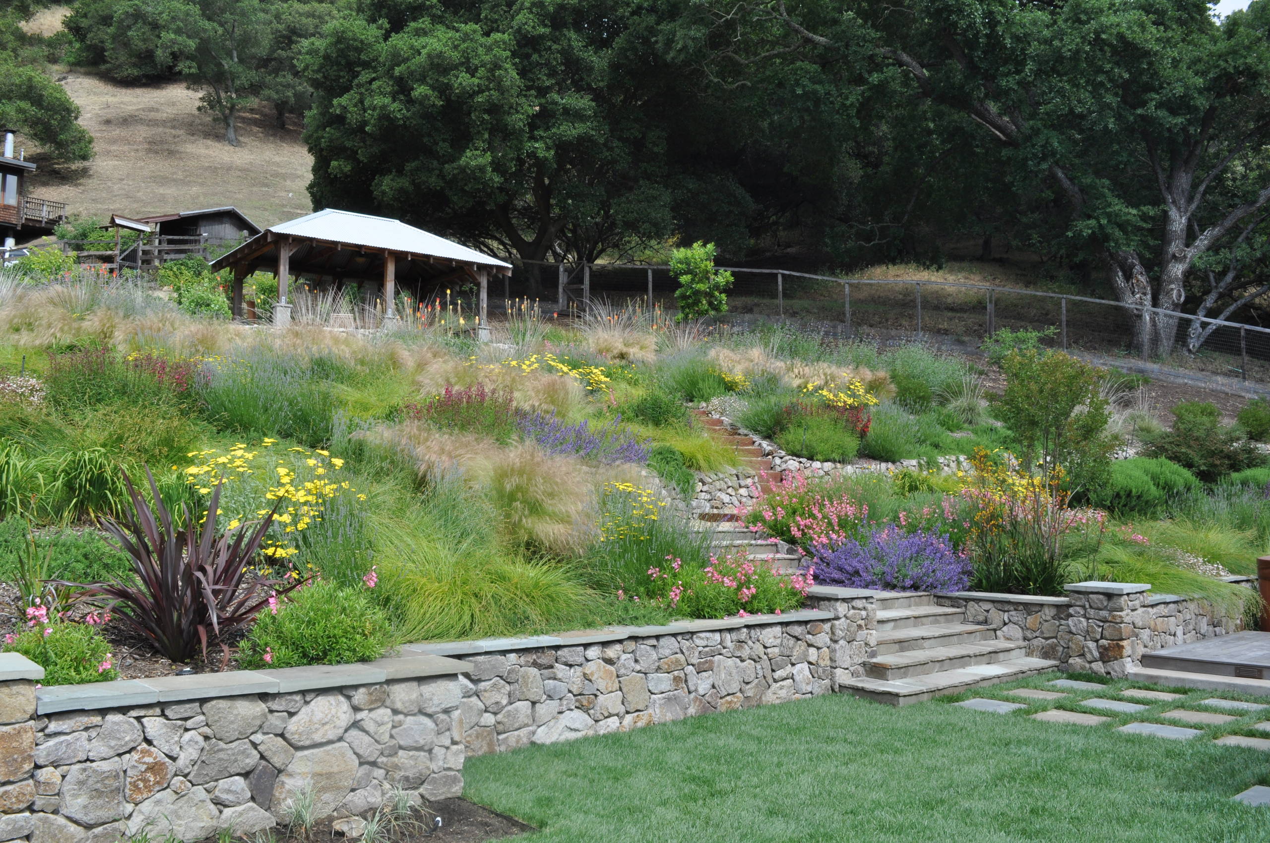 Northern California Regional Hillside Mediterranean Landscape San Francisco By Huettl Landscape Architecture Houzz