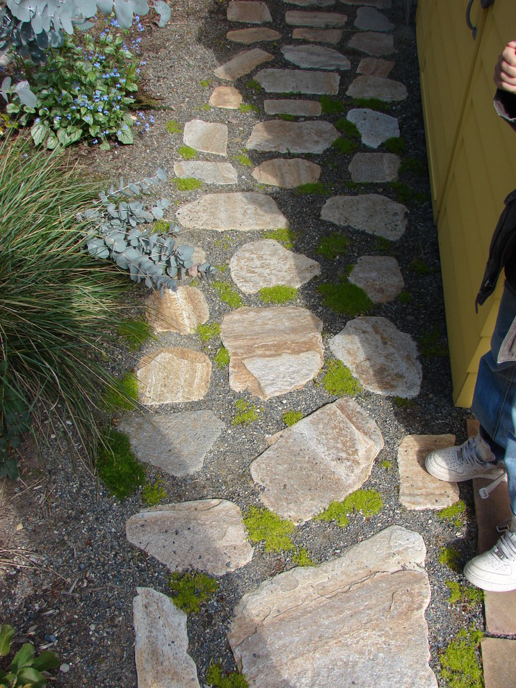 Idee per un piccolo giardino xeriscape minimal esposto a mezz'ombra nel cortile laterale in inverno con un ingresso o sentiero e pavimentazioni in pietra naturale