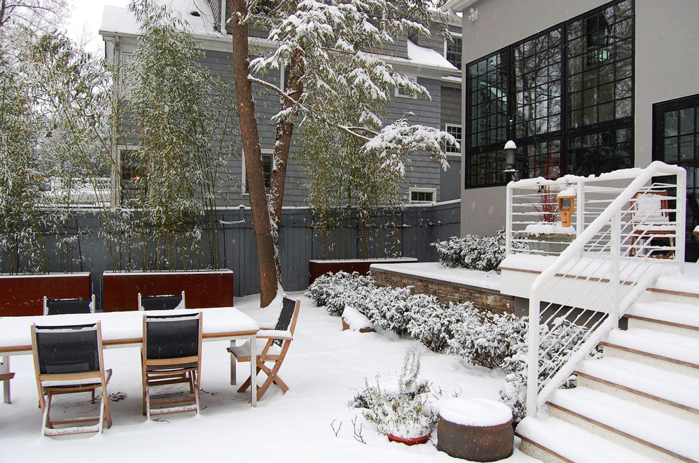 Réalisation d'un jardin arrière design de taille moyenne et l'hiver.