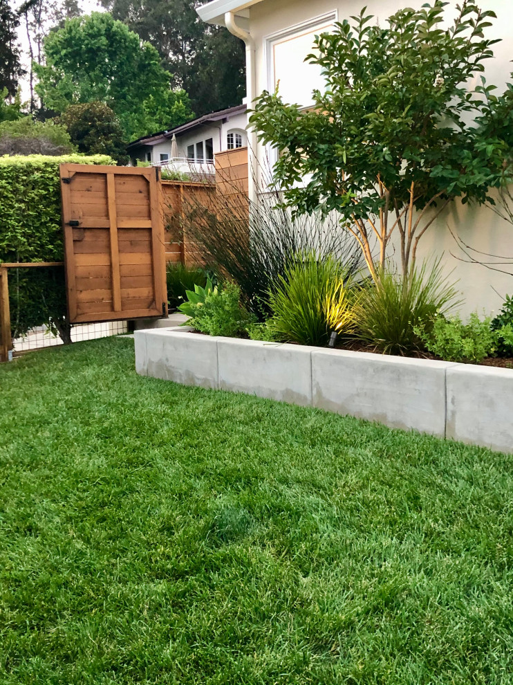 Design ideas for a small contemporary drought-tolerant and full sun front yard landscaping in San Francisco.