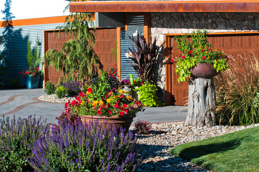 Ispirazione per un vialetto d'ingresso eclettico davanti casa con un giardino in vaso e pavimentazioni in cemento