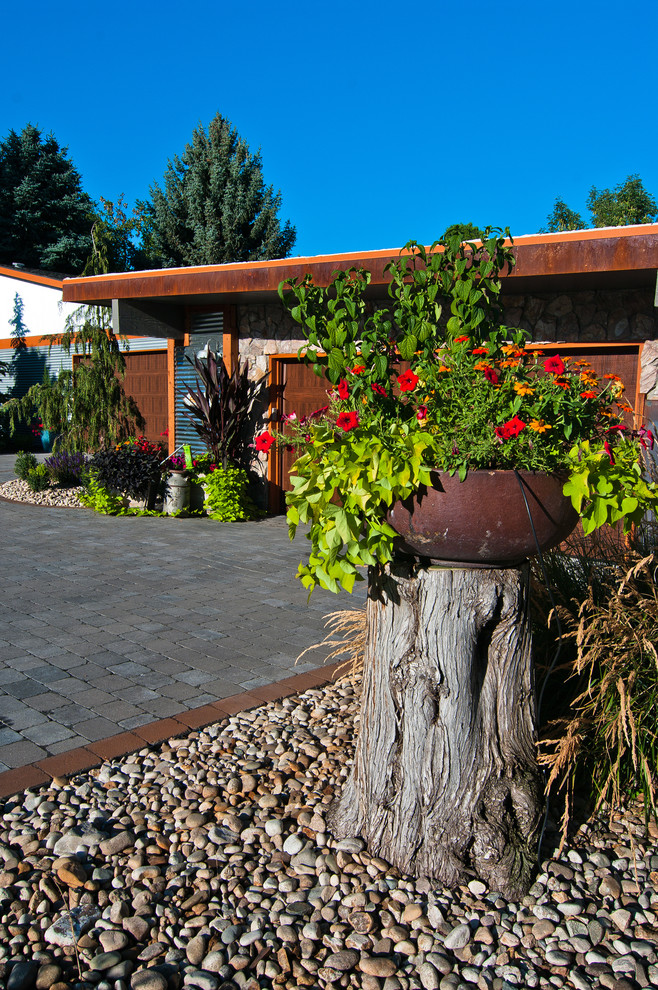 Idee per un vialetto d'ingresso bohémian davanti casa con un giardino in vaso e pavimentazioni in cemento