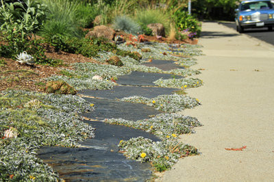 Modelo de jardín de secano mediterráneo de tamaño medio en verano en patio trasero con exposición total al sol, adoquines de piedra natural y huerto