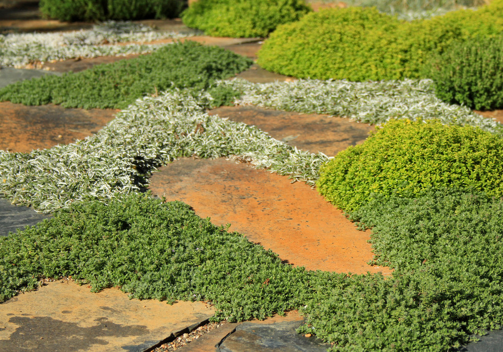 Diseño de jardín de secano mediterráneo de tamaño medio en verano en patio trasero con adoquines de piedra natural, huerto y exposición total al sol