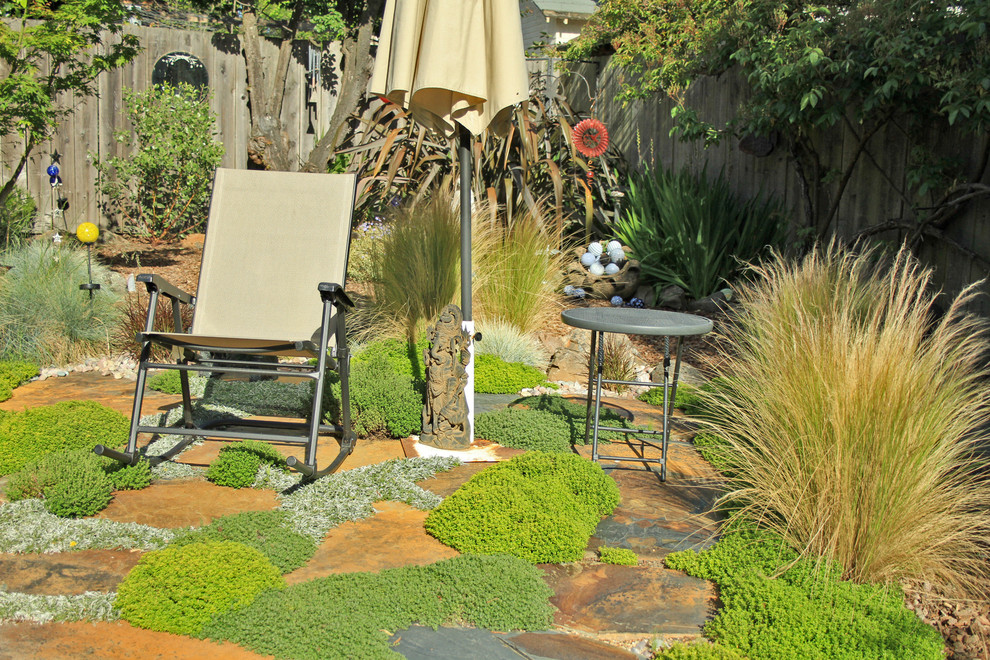Пример оригинального дизайна: солнечный участок и сад среднего размера на заднем дворе в средиземноморском стиле с хорошей освещенностью и покрытием из каменной брусчатки