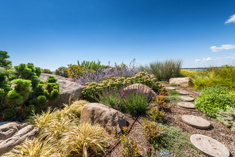 Immagine di un grande giardino xeriscape stile marino esposto in pieno sole con un ingresso o sentiero, un pendio, una collina o una riva e pavimentazioni in cemento