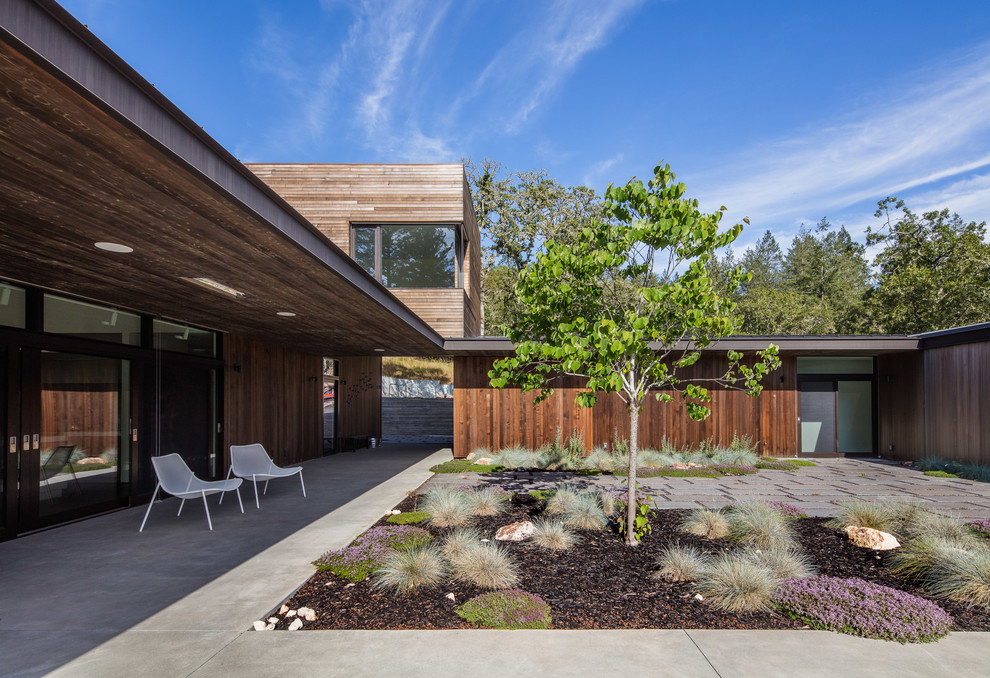 Cette image montre un jardin sur cour design avec une exposition ensoleillée et des pavés en béton.