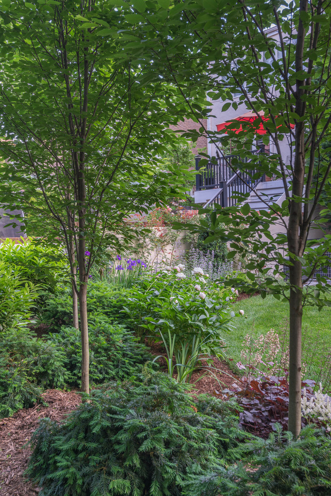 Mittelgroßer, Geometrischer Klassischer Garten im Sommer, hinter dem Haus mit direkter Sonneneinstrahlung und Natursteinplatten in Washington, D.C.