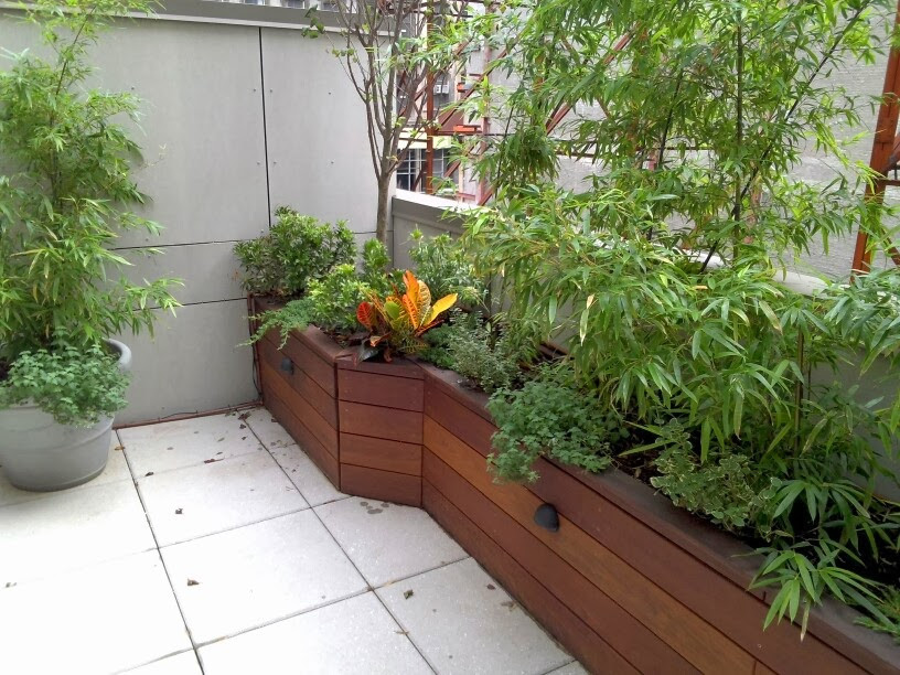 Kleiner, Halbschattiger Moderner Dachgarten im Frühling in New York
