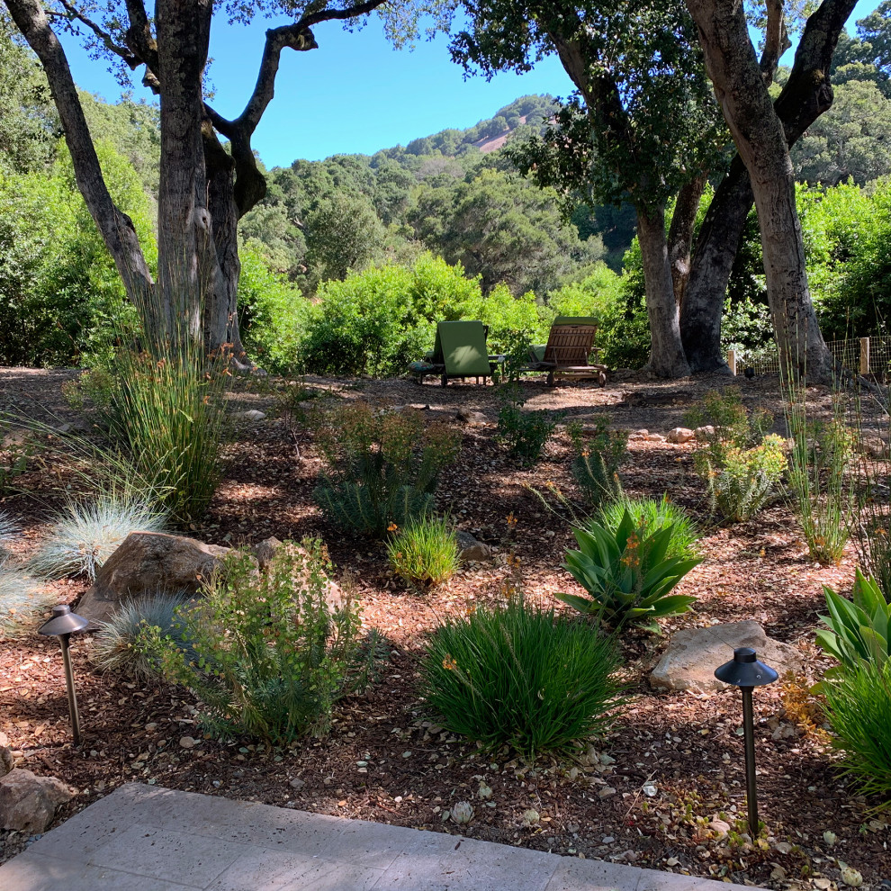 Inspiration for an expansive mediterranean back xeriscape full sun garden for summer in San Francisco with a rockery and natural stone paving.