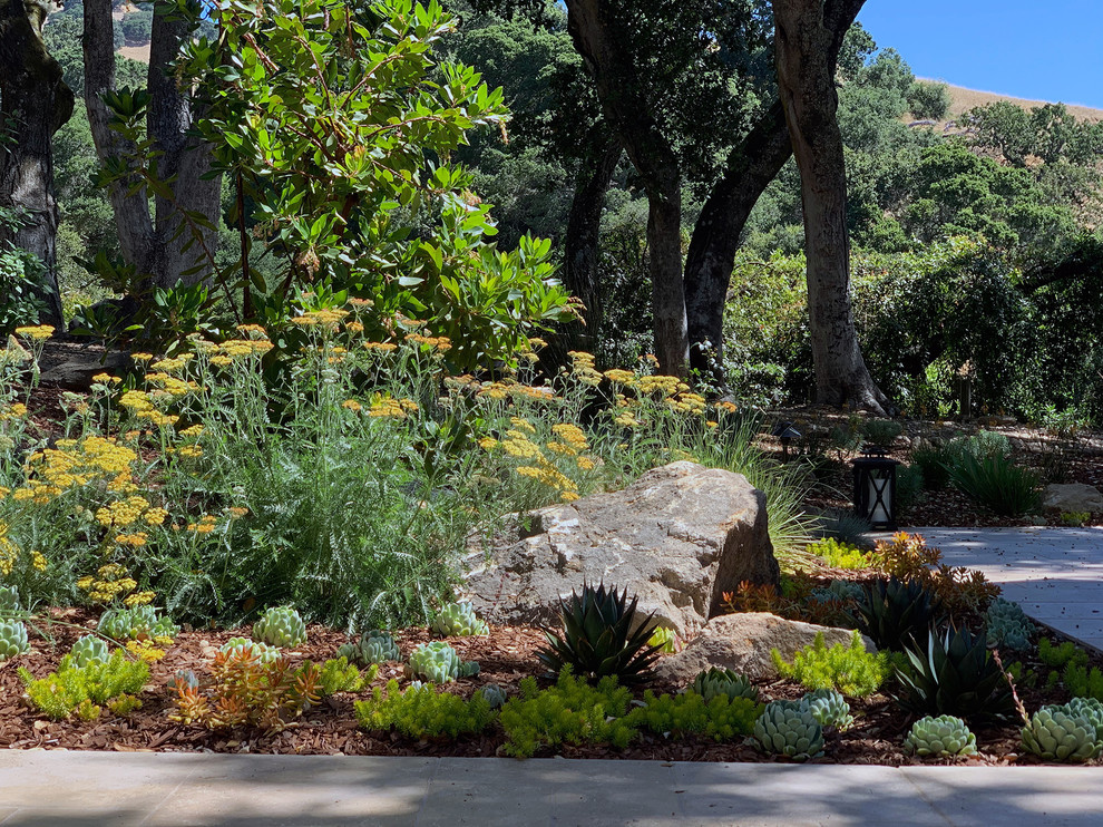 Oak Tree Setting With Hillside Views Landscape Renovation Northern