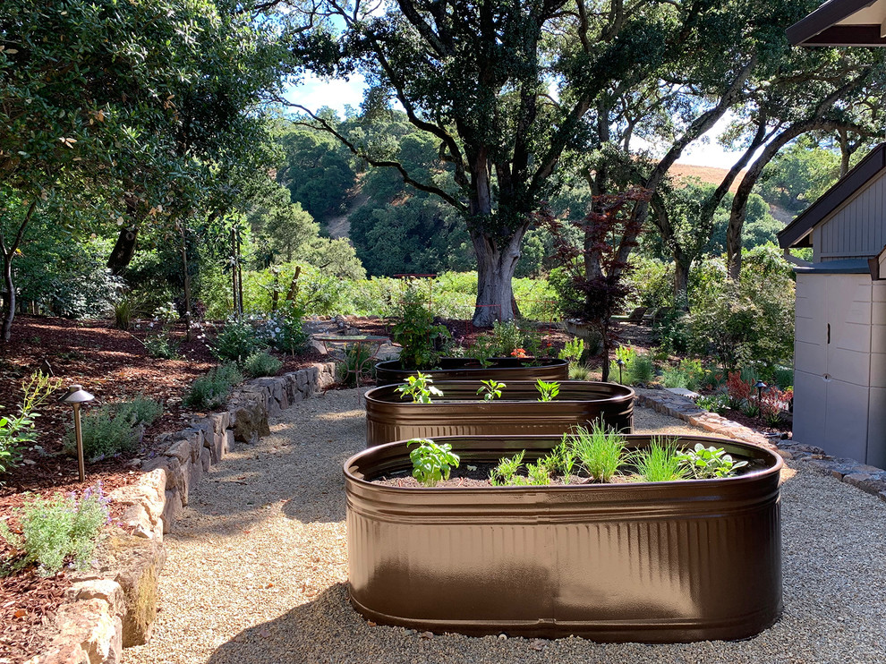 Oak Tree Setting With Hillside Views Landscape Renovation Northern California Contemporary Landscape San Francisco By Dig Your Garden Landscape Design Houzz