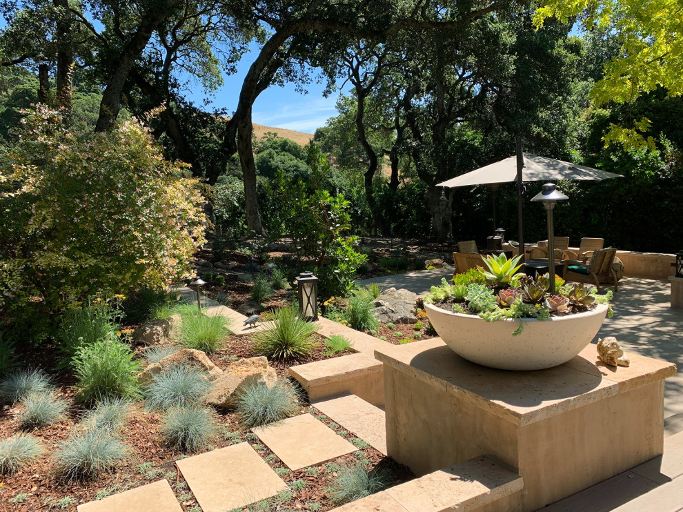 На фото: огромный весенний, солнечный засухоустойчивый сад на боковом дворе в современном стиле с садовой дорожкой или калиткой, хорошей освещенностью и покрытием из каменной брусчатки