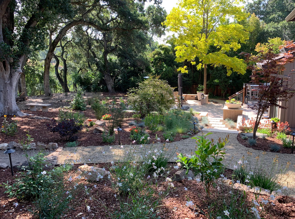 Geräumiger Mediterraner Garten im Frühling mit direkter Sonneneinstrahlung und Mulch in San Francisco