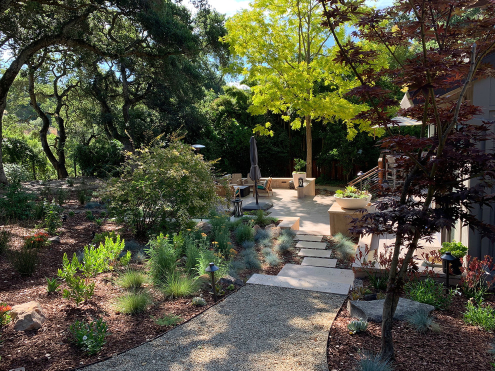 Foto de camino de jardín de secano contemporáneo extra grande en patio lateral con exposición parcial al sol y gravilla