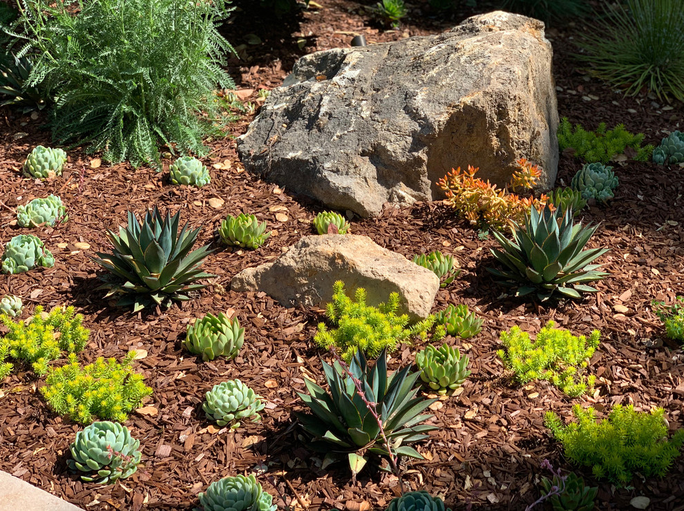 Diseño de camino de jardín de secano mediterráneo grande en primavera en patio trasero con exposición total al sol y adoquines de piedra natural