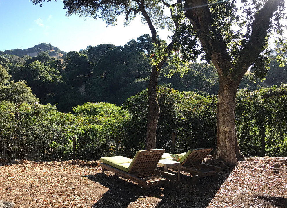 サンフランシスコにあるラグジュアリーな巨大な、冬のコンテンポラリースタイルのおしゃれな庭 (日向、ゼリスケープ、傾斜地、マルチング舗装) の写真